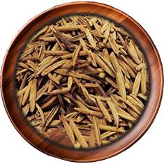 Idrajau Conessi Seeds