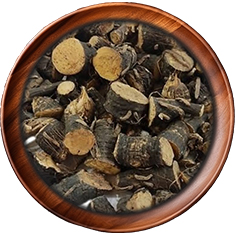 Kali Musli/Black Musli